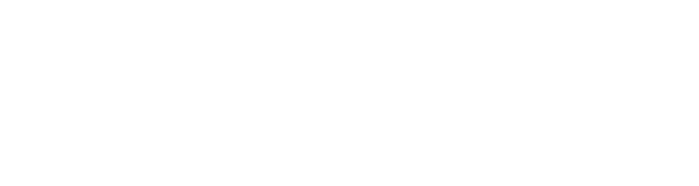 Edmonton international airport logo
